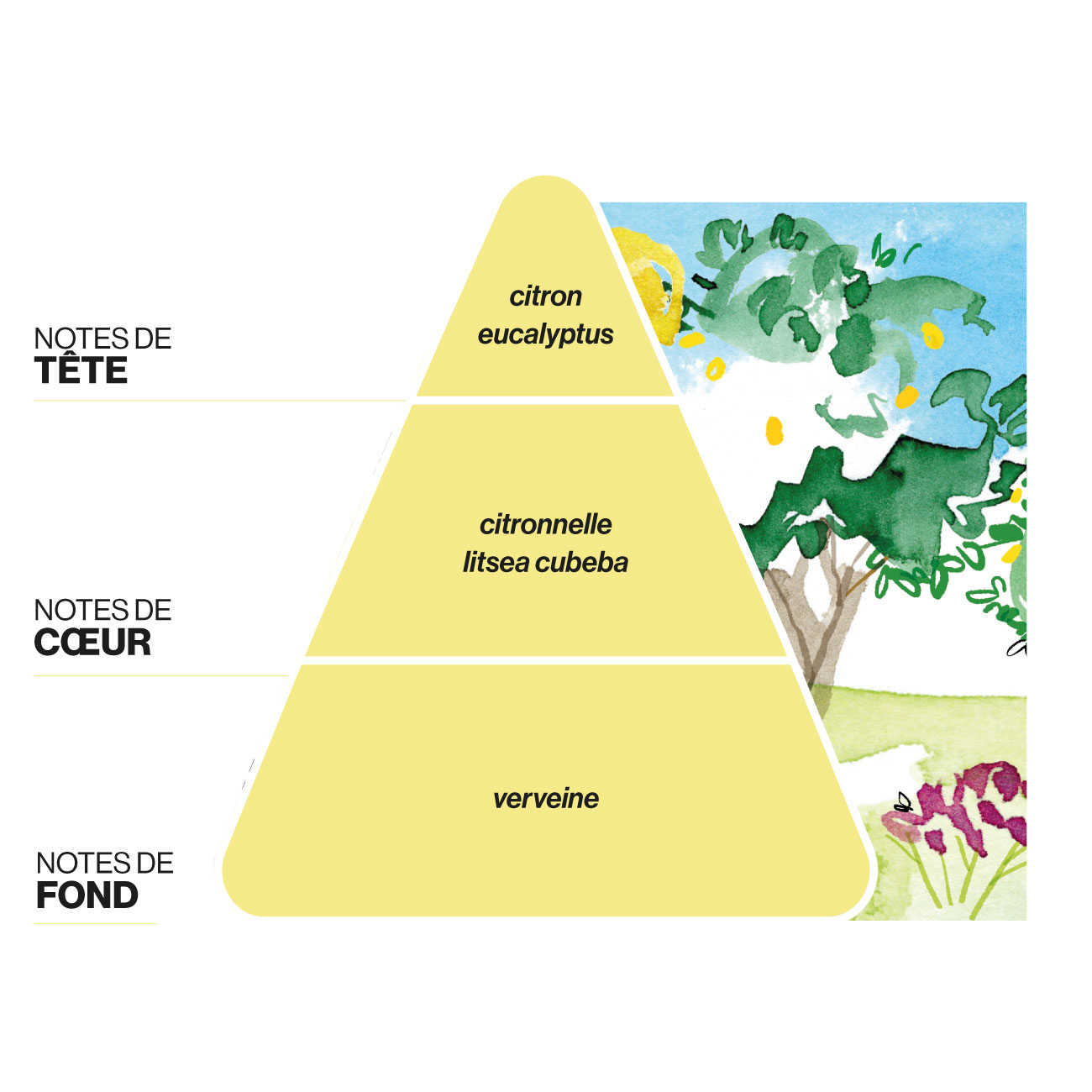 Domea-diffuseur-Agrumeto-notes-parfums