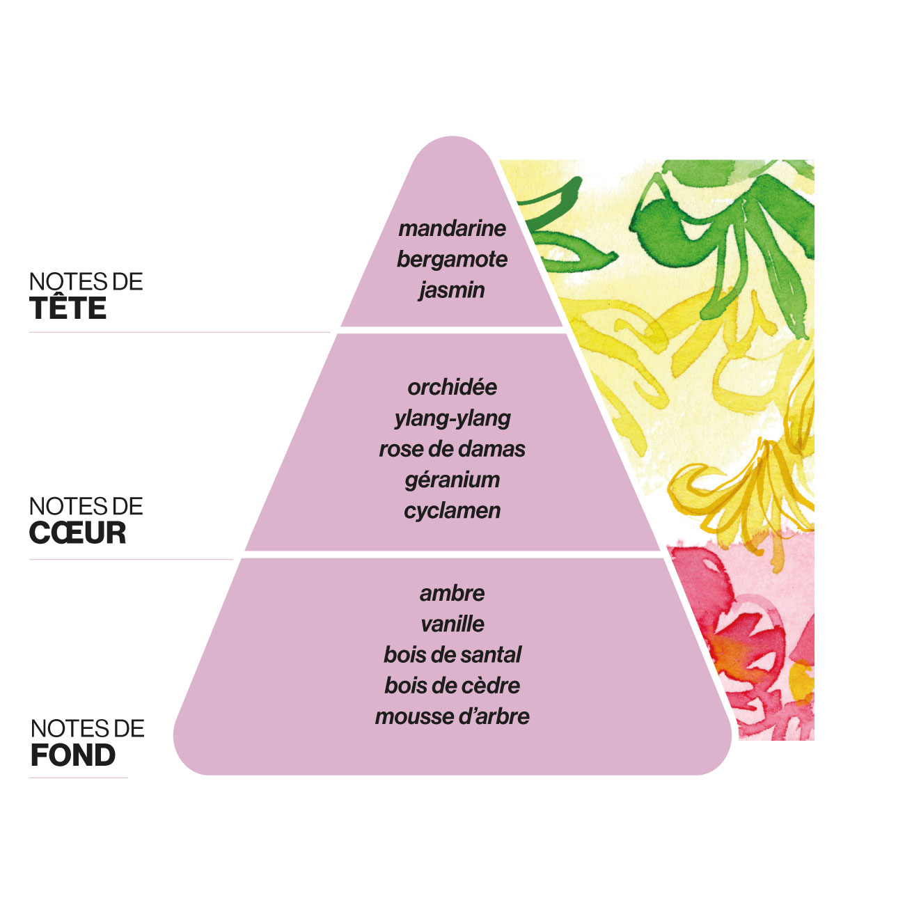 Domea-diffuseur-Aurora-notes-parfums
