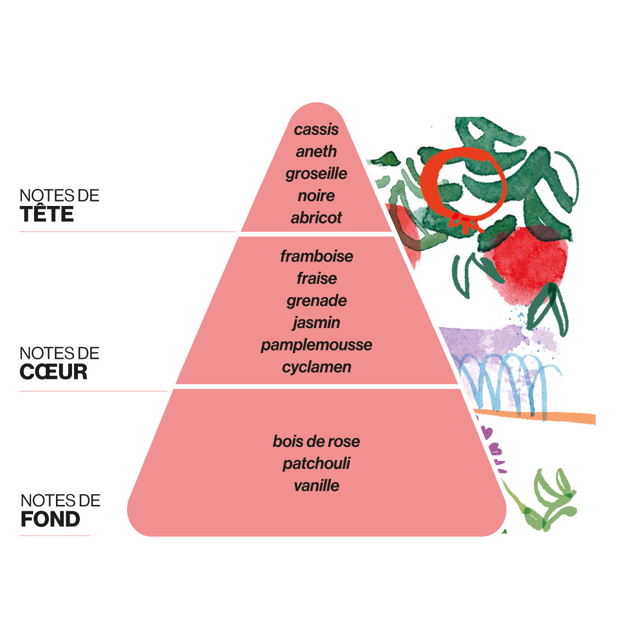 Domea-diffuseur-La-Terrazza-dei-Melograni-notes-parfums