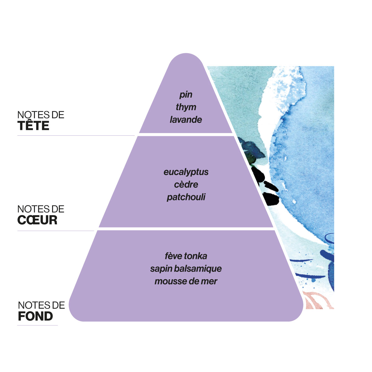 Domea-diffuseur-Mare-Selvaggio-notes-parfums